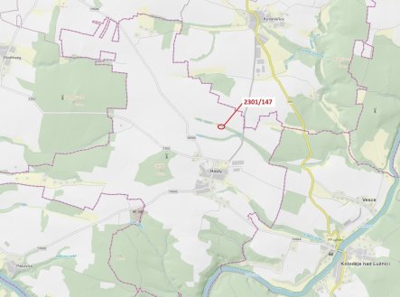 Lesní pozemek o výměře 19 m2, podíl 1/1, katastrální území Hosty, obec Hosty, obec s rozšířenou půso