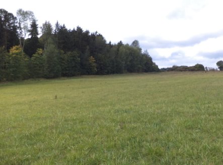 Nemovitost