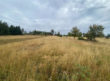 Nemovitost