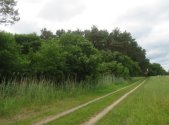 Prodej pozemku, les, 3 862 m²