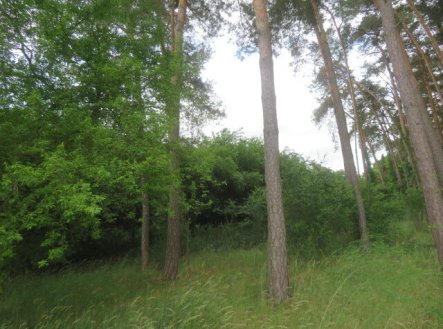 Prodej pozemku, les, 3 862 m²