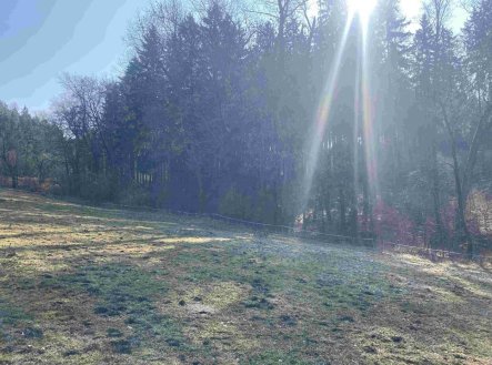 Prodej pozemku, trvalý travní porost, 1 443 m²