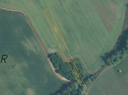 Prodej pozemku, trvalý travní porost, 11 741 m²