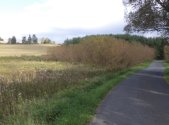 Prodej pozemku, trvalý travní porost, 925 m²
