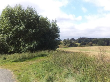 Prodej pozemku, trvalý travní porost, 925 m²