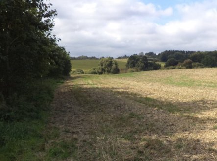 Prodej pozemku, trvalý travní porost, 925 m²