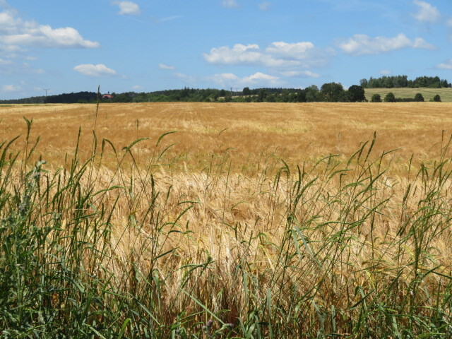 Pozemek o velikosti 2464m2, Neuměř, podíl 1/10