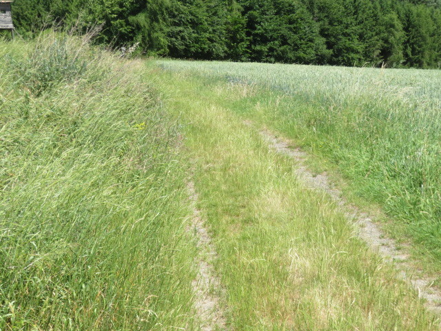 Pozemek o velikosti 2464m2, Neuměř, podíl 1/10