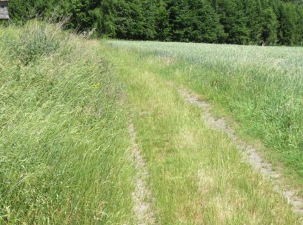 Prodej pozemku, zemědělská půda, 2 464 m²