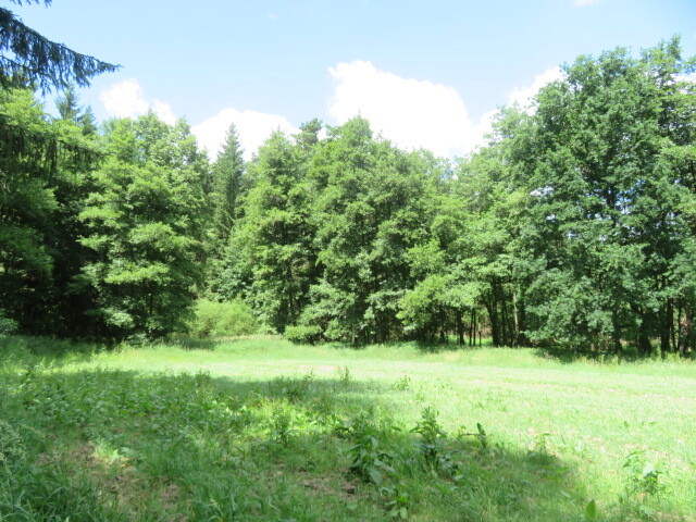 Pozemek o velikosti 2758m2, Honezovice, podíl 1/10