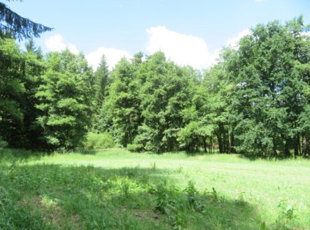 Prodej pozemku, les, 2 758 m²