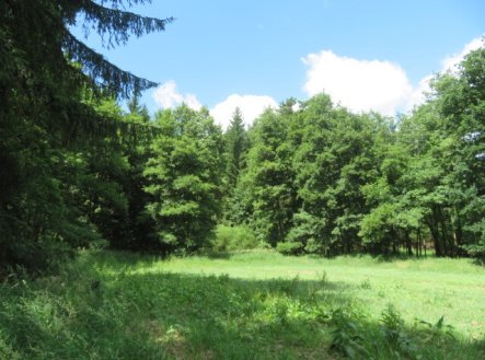 Prodej pozemku, les, 2 758 m²