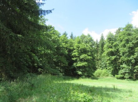 Prodej pozemku, les, 2 758 m²