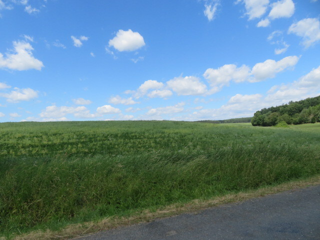 Pozemek o velikosti 7009m2, Čečovice, podíl 1/10
