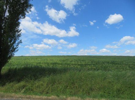 Prodej pozemku, zemědělská půda, 7 009 m²