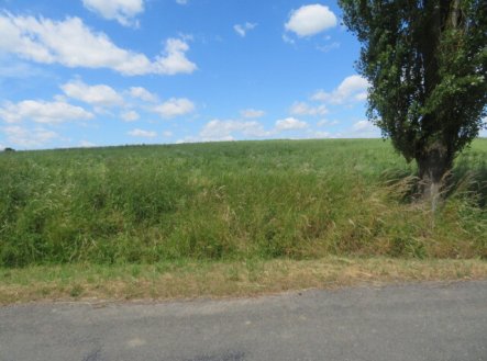 Prodej pozemku, zemědělská půda, 7 009 m²