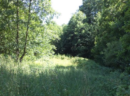 Prodej pozemku, trvalý travní porost, 19 744 m²
