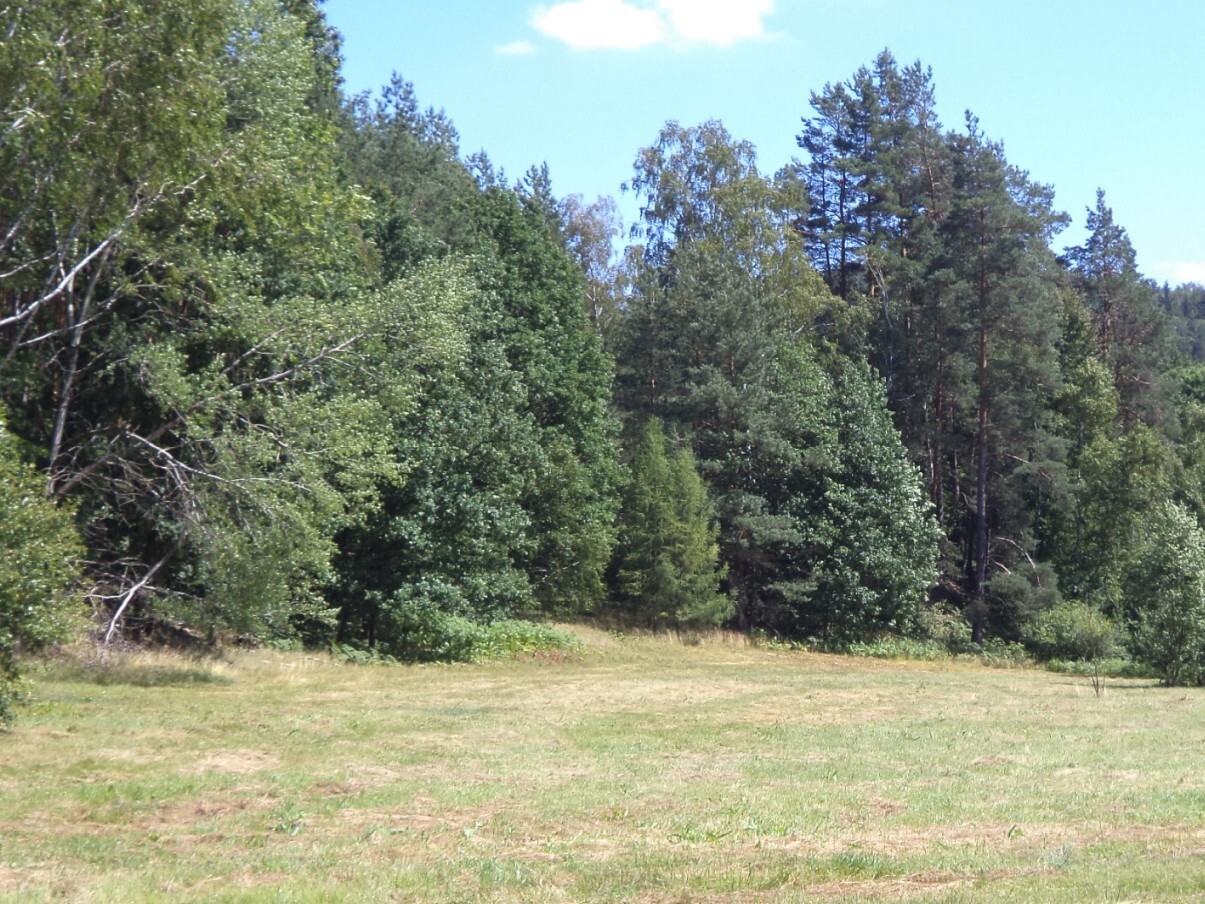Pozemek o velikosti 19744m2, Mařenice
