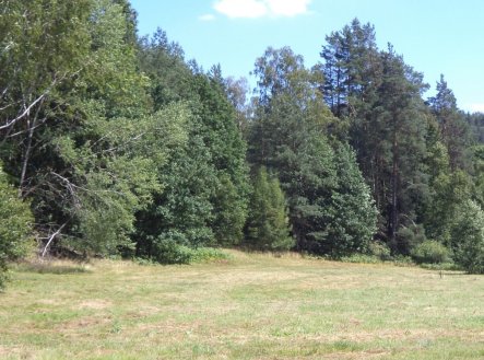 Prodej pozemku, trvalý travní porost, 19 744 m²