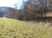 Prodej pozemku, zemědělská půda, 5 161 m²