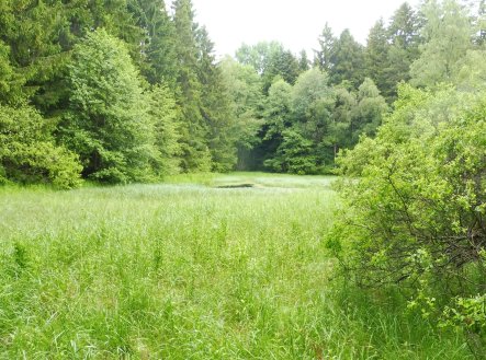 Prodej pozemku, ostatní, 7 409 m²