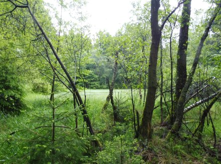 Prodej pozemku, ostatní, 7 409 m²