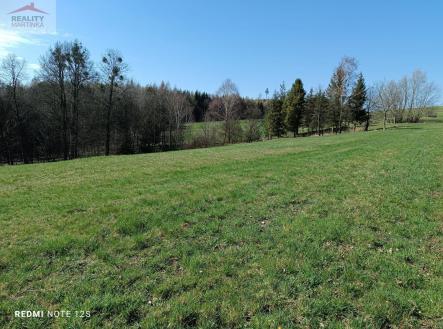 Prodej - pozemek, zemědělská půda, 6 598 m²