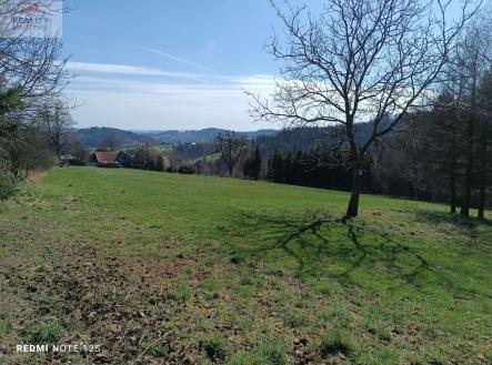 Prodej pozemku, zemědělská půda, 6 598 m²