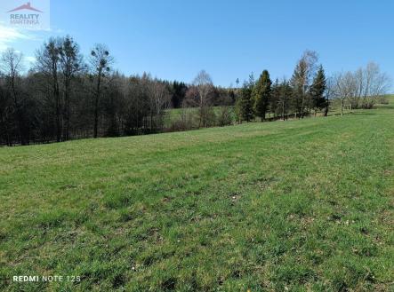 Prodej pozemku, zemědělská půda, 6 598 m²