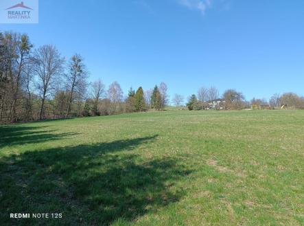 Prodej pozemku, zemědělská půda, 6 598 m²