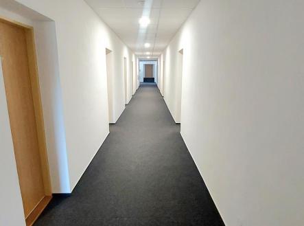 Pronájem - kanceláře, 24 m²