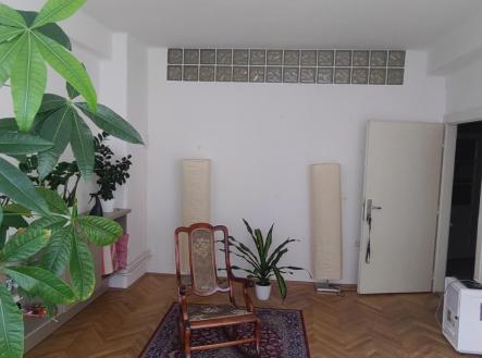 Pronájem kanceláře, 19 m²