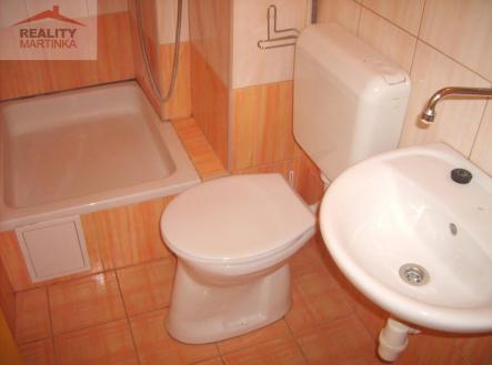 Pronájem bytu, 1+kk, 24 m²