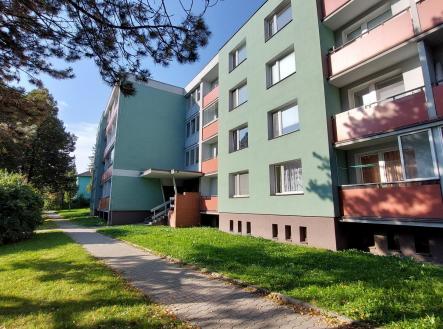 Pronájem bytu, 1+kk, 24 m²