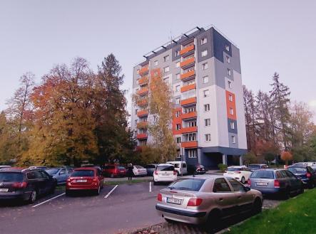 Pronájem bytu, 1+kk, 24 m²
