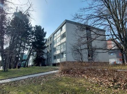 Prodej bytu, 1+kk, 19,2 m²