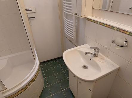 Pronájem bytu, 2+1, 45,2 m²