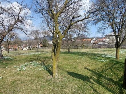 Prodej pozemku pro bydlení, 1 563 m²