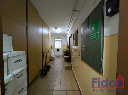 Prodej obchodní prostor, 482 m²