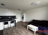 Pronájem bytu, 1+kk, 95 m²