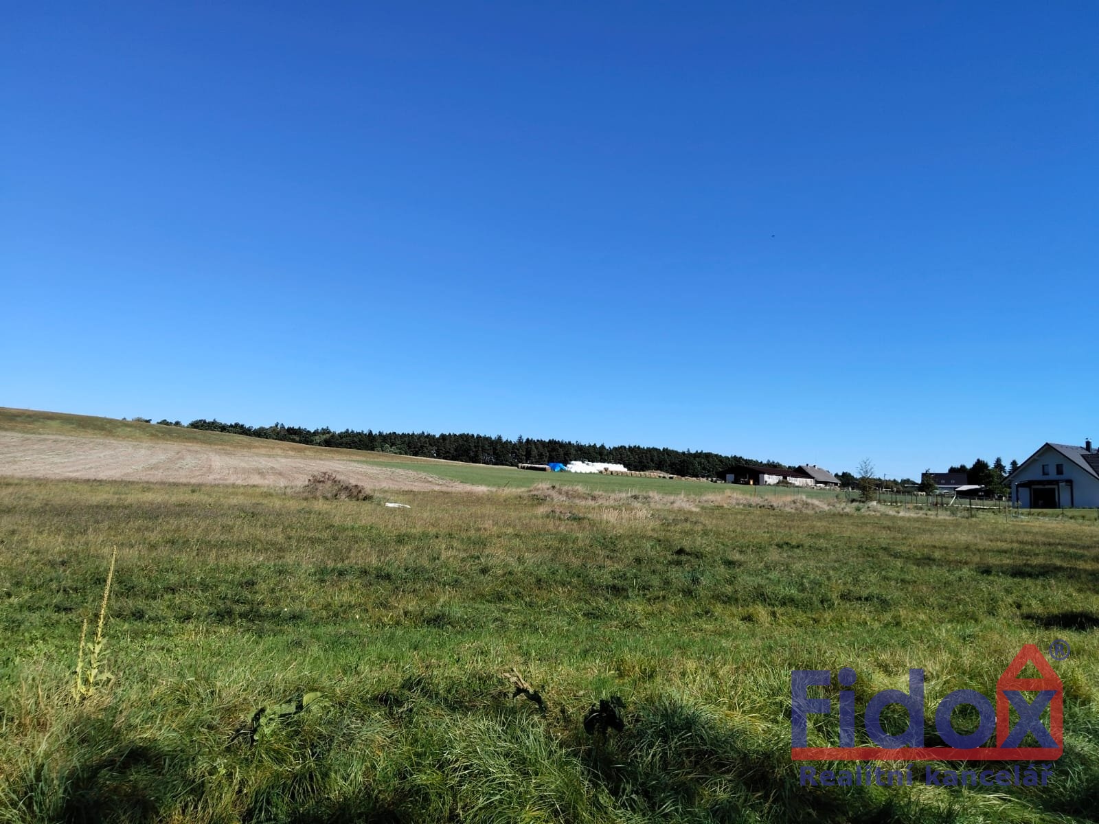 WhatsApp Image 2026-02-03 at 15.31.56 (3)