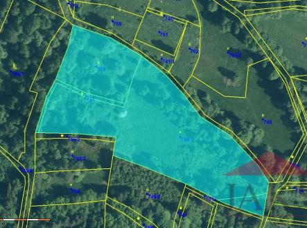 Prodej - pozemek, trvalý travní porost, 13 819 m²