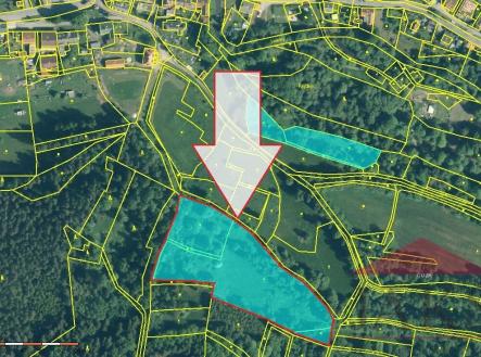 Prodej - pozemek, trvalý travní porost, 13 819 m²
