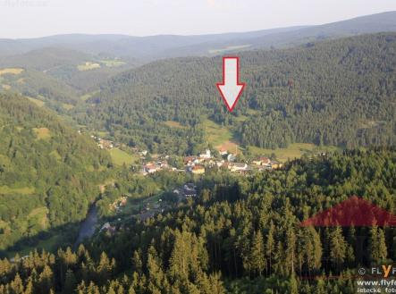 Prodej - pozemek, trvalý travní porost, 13 819 m²