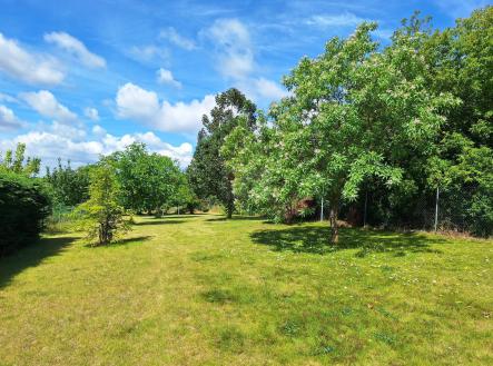 Pronájem - pozemek pro bydlení, 500 m²