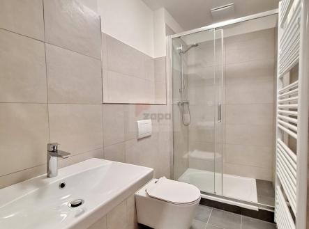 Pronájem bytu, 1+kk, 31 m²