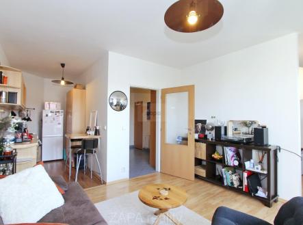 Pronájem bytu, 1+1, 49 m²