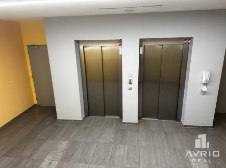 Pronájem kanceláře, 532 m²