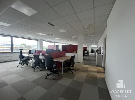 Pronájem kanceláře, 532 m²