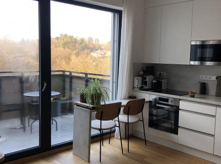 Pronájem bytu, 1+kk, 55 m²